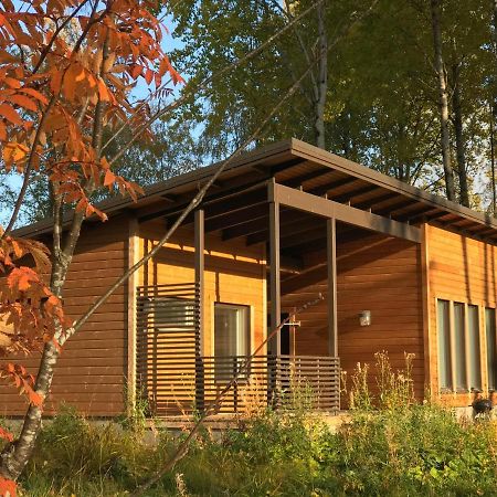 Wooddream Βίλα Taipalsaari Εξωτερικό φωτογραφία